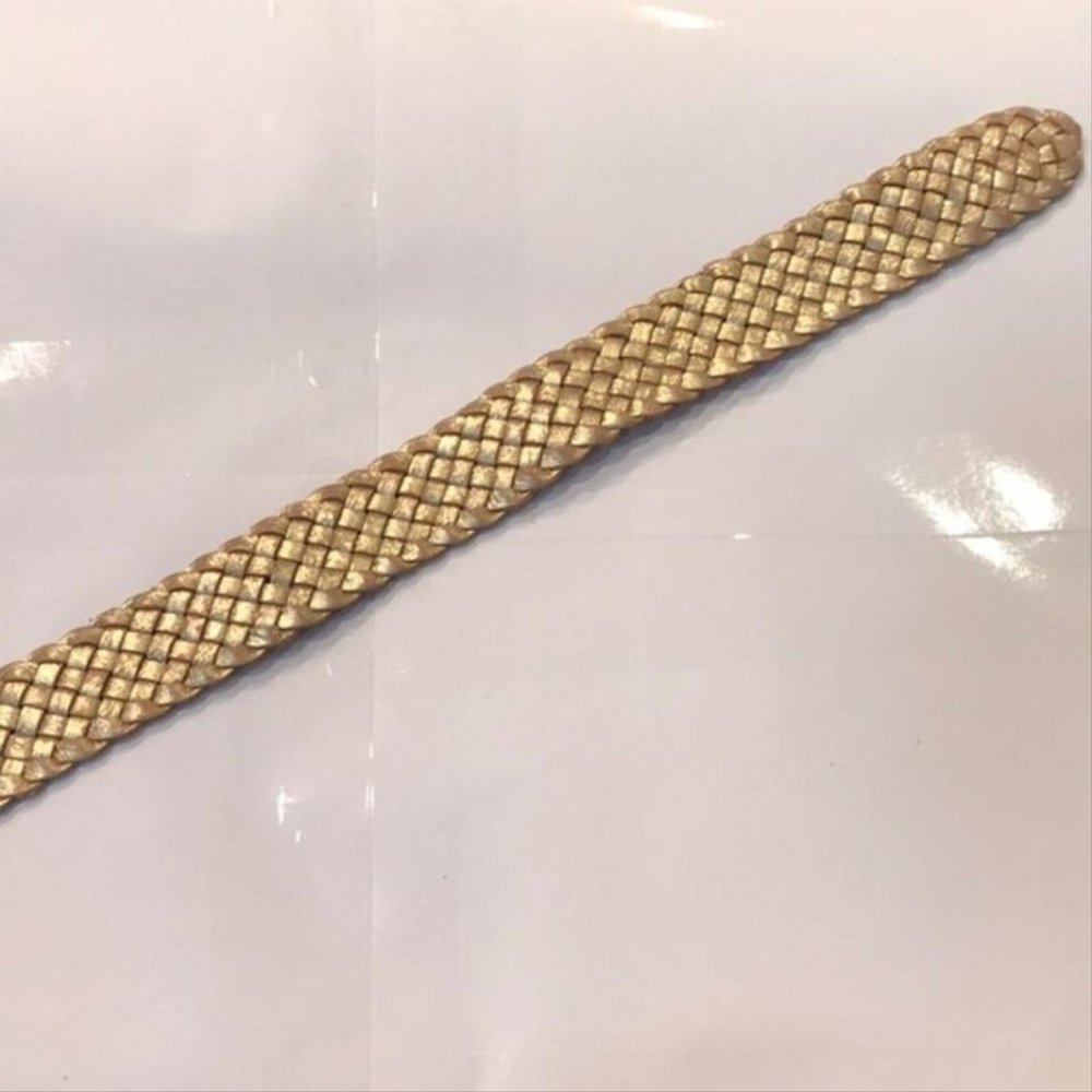 Fossil Belt - Picture 5 of 8